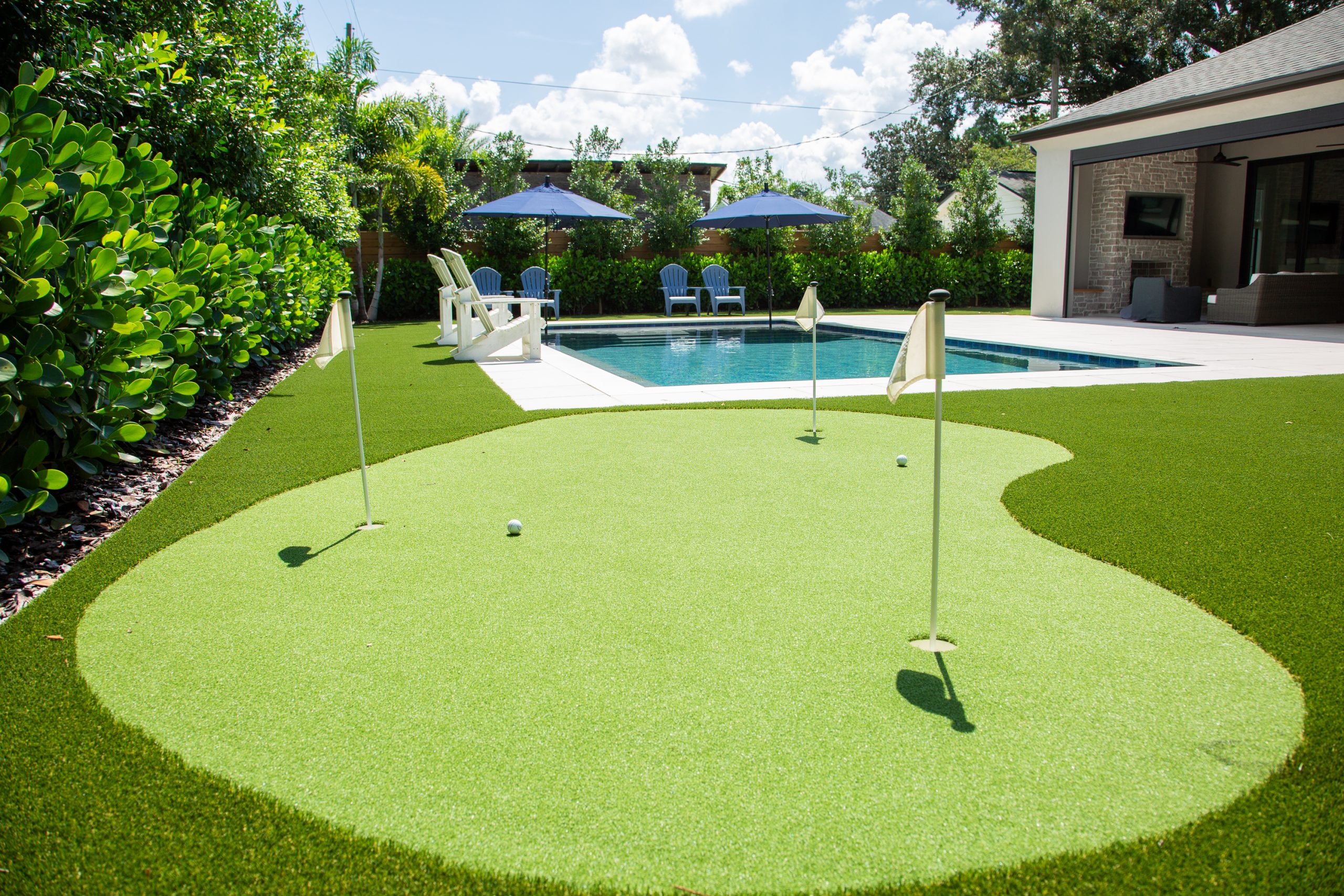 Putting Green and Turf 1